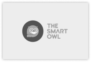 the-smart-owl-300x204